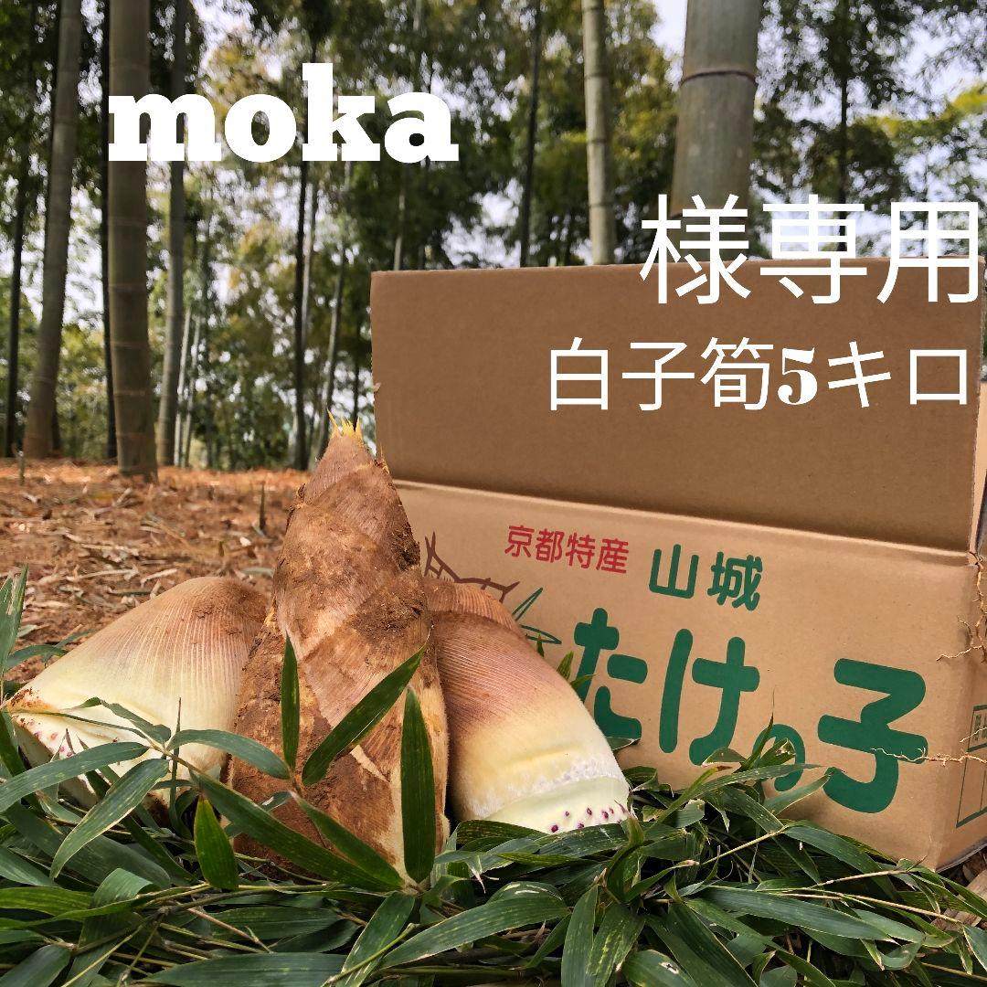 moka　白子筍5キロ箱込み