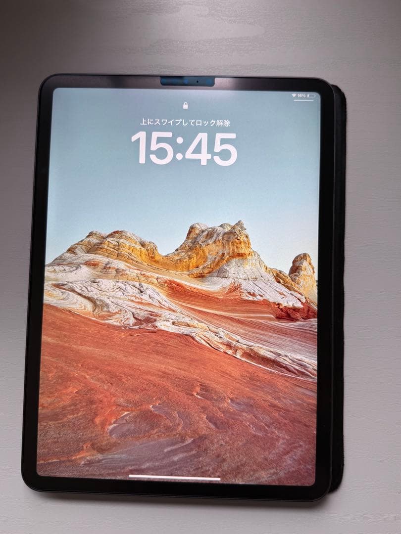 iPad Pro 11インチ(第1世代) 256GB