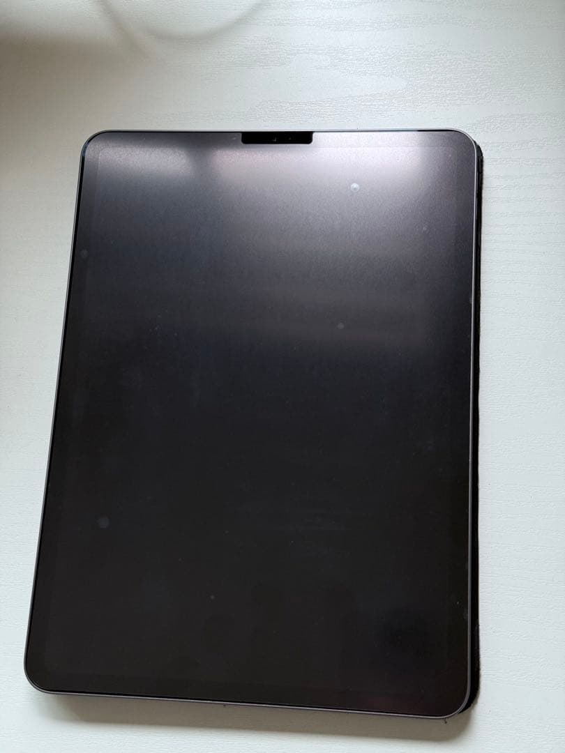 iPad Pro 11インチ(第1世代) 256GB