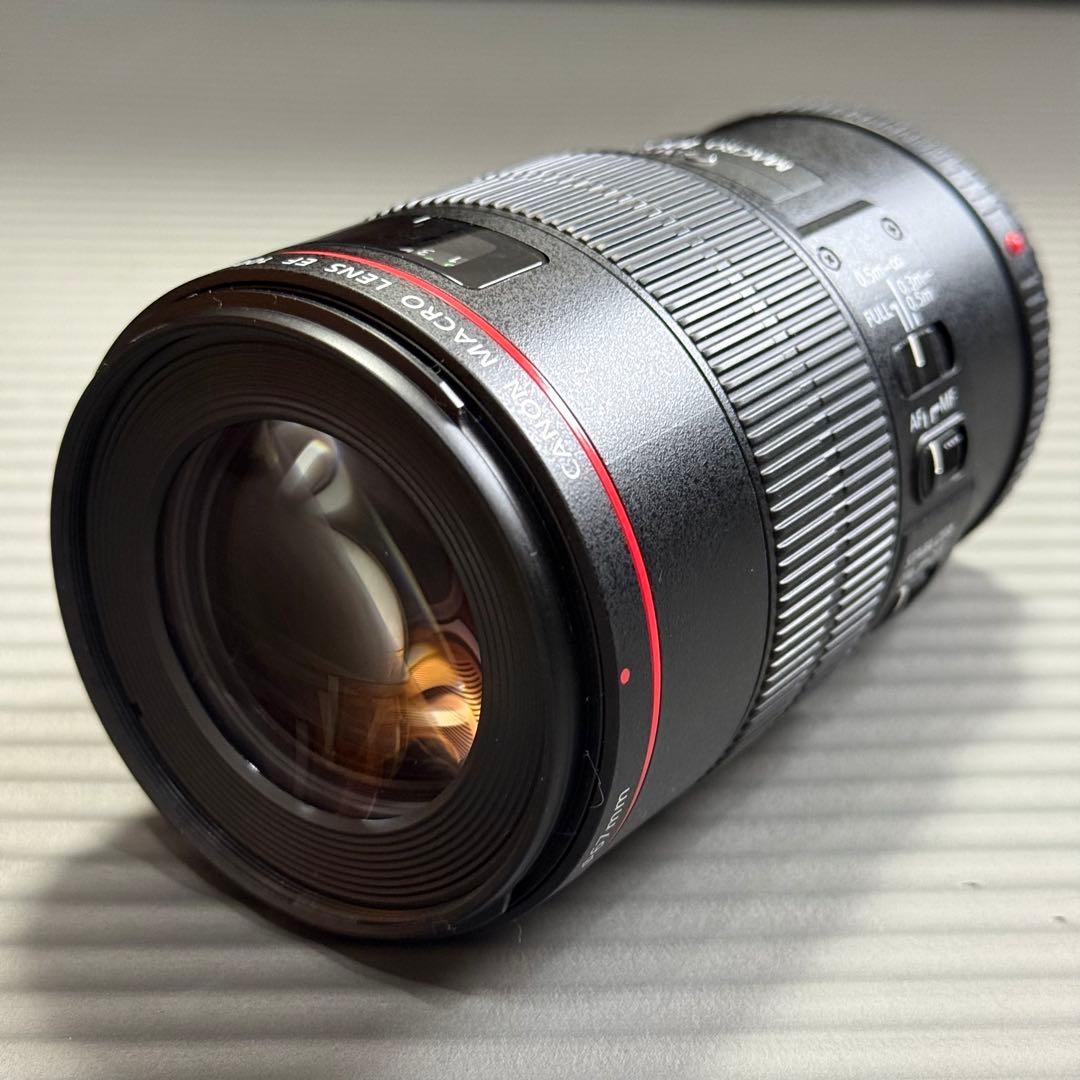 キヤノン Canon EF100mm F2.8Lマクロ IS USM