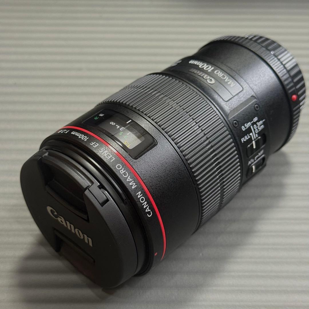 キヤノン Canon EF100mm F2.8Lマクロ IS USM