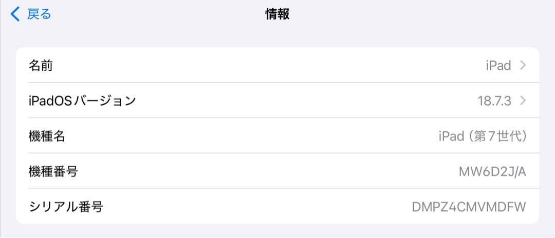 iPad 第7世代 32GB Wi-Fiモデル ゴールド A2198 ケース付き