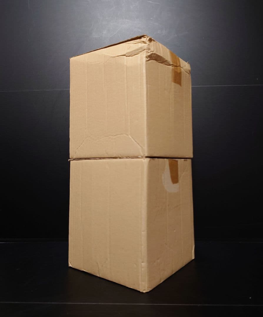 新品未使用 Dyson Pure 純正フィルター2個セット TP/AM/BP用