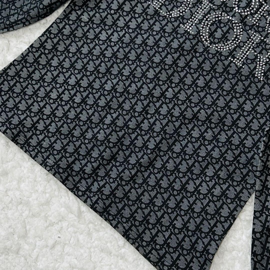 新品同様✨クリスチャンディオールM位ジョンガリアーノラインストーントロッター