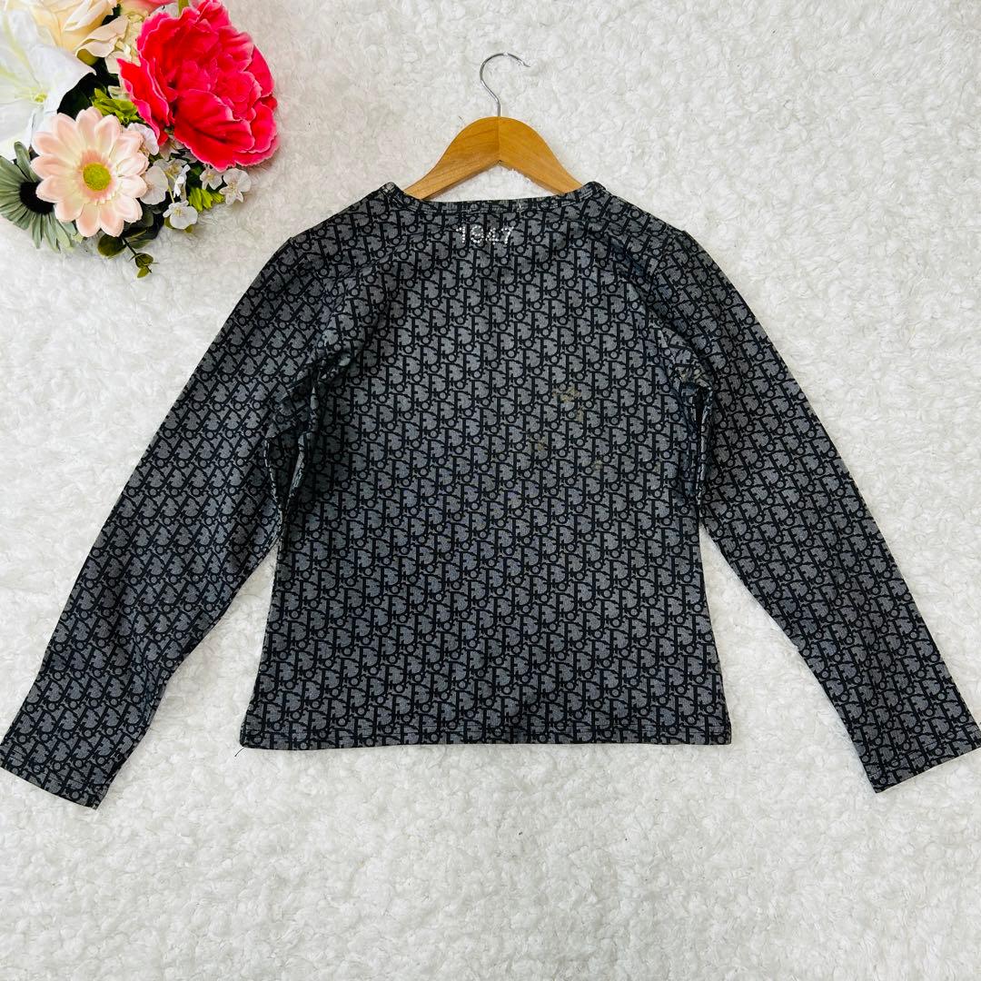 新品同様✨クリスチャンディオールM位ジョンガリアーノラインストーントロッター