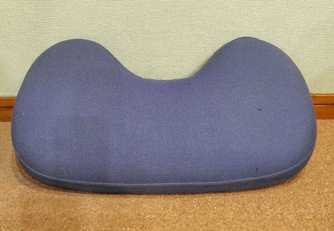 Rybo リボ　バランスチェアイージー　姿勢矯正　 デスクチェア　カバー付き