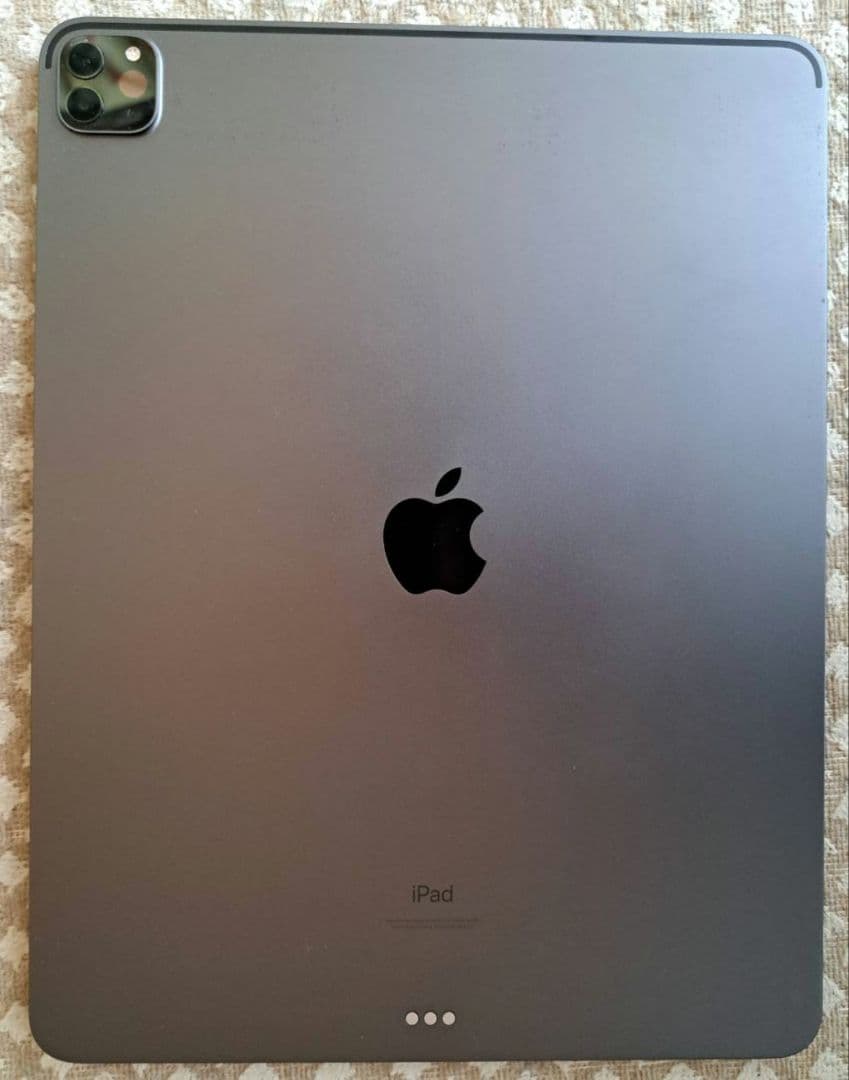 iPad Pro 第5世代 本体 12.9インチ