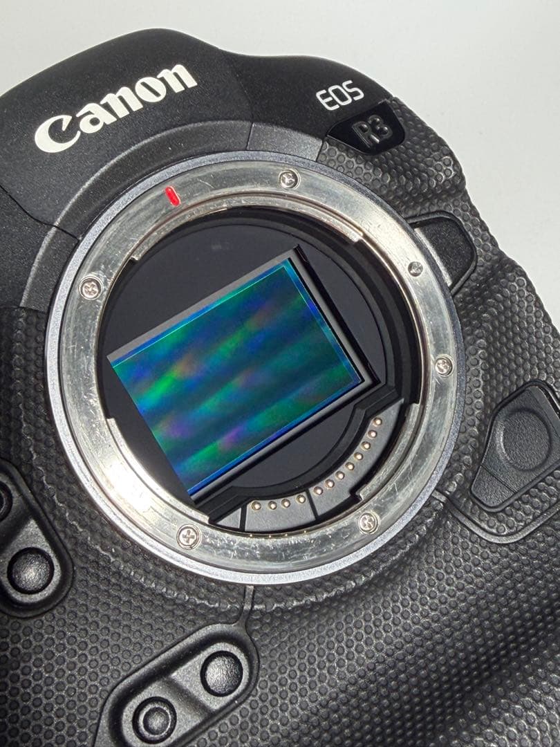 Canon EOS R3 ミラーレスカメラ　バッテリー3個付き