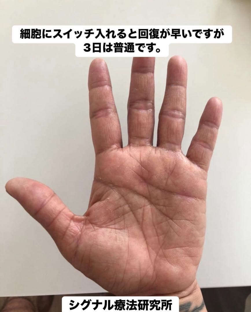 シグナルローション　2本セット