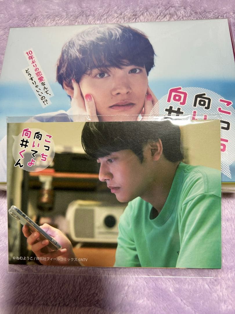 こっち向いてよ向井くん Blu-ray BOX〈6枚組〉 ポストカード付き未開封