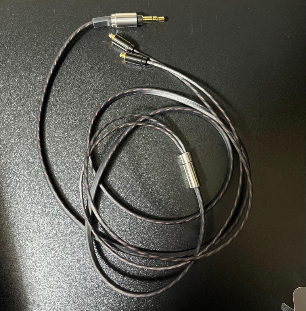 JVC HA-FD01 カナル型イヤホン