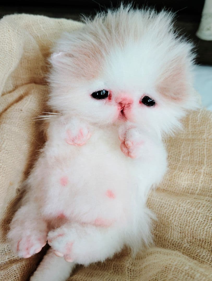 むぎゅサイズ♡お腹ぽっこり♡赤ちゃん子猫のキキちゃん♡アートドール♡ぬいぐるみ♡