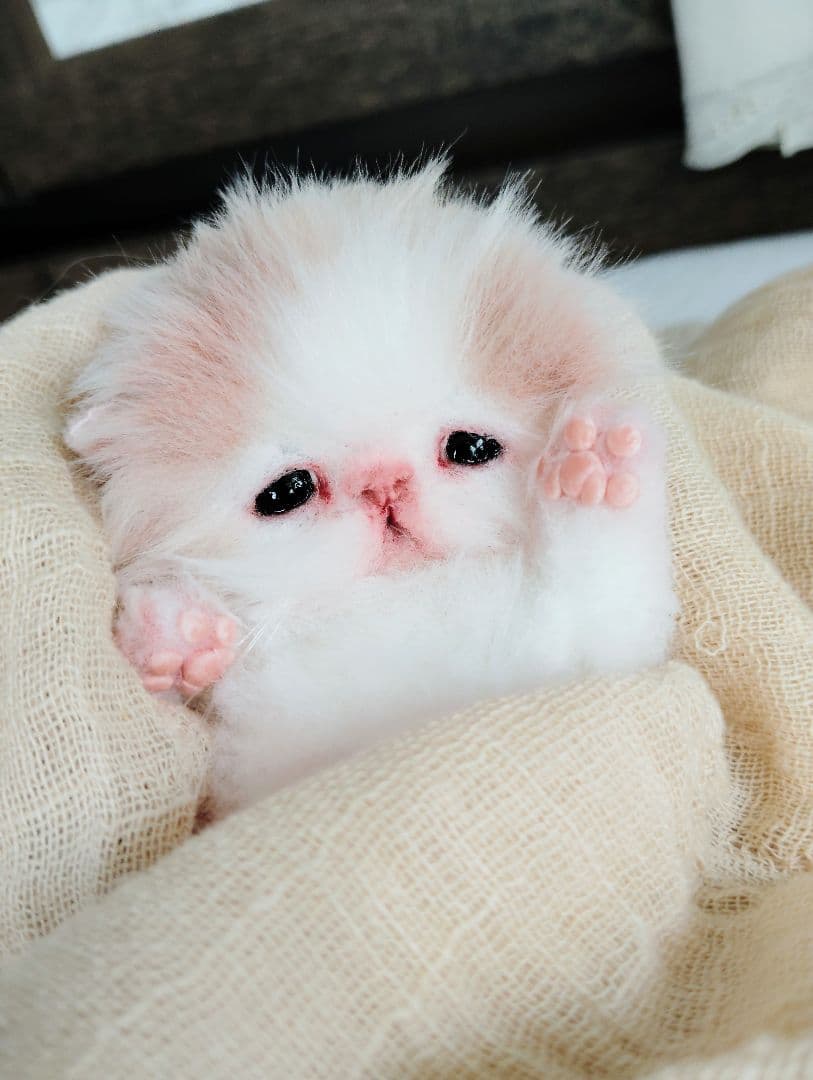 むぎゅサイズ♡お腹ぽっこり♡赤ちゃん子猫のキキちゃん♡アートドール♡ぬいぐるみ♡