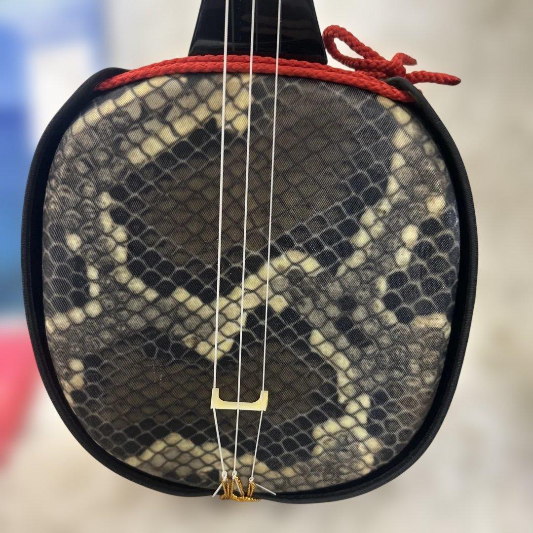 【極美品】沖縄三線 ソフトケース付 入門者向け 弦楽器 和楽器 人工革ヘビ