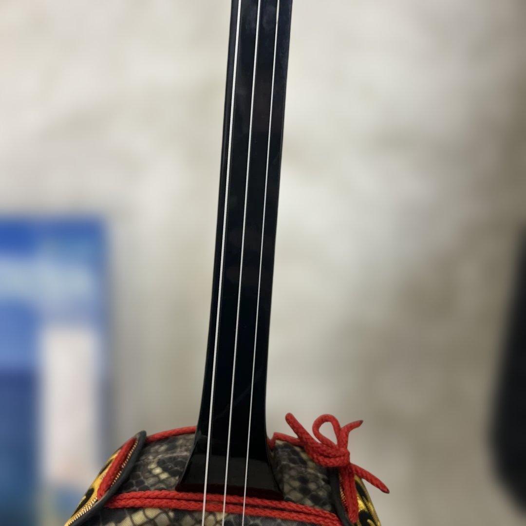 【極美品】沖縄三線 ソフトケース付 入門者向け 弦楽器 和楽器 人工革ヘビ