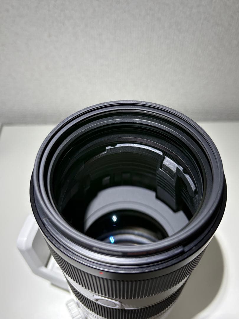 Sony FE 70-200mm F2.8 GM OSS II +おまけ