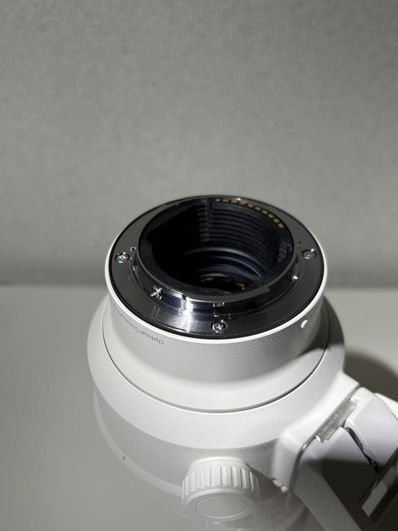Sony FE 70-200mm F2.8 GM OSS II +おまけ