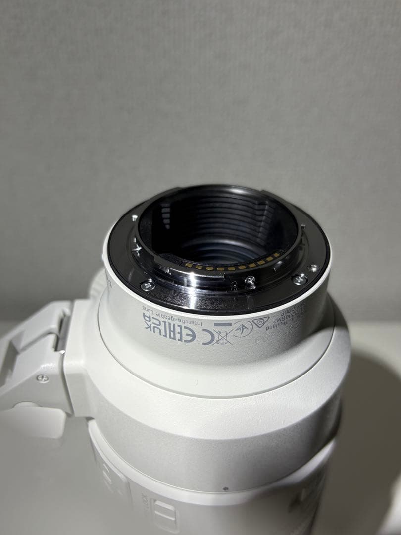 Sony FE 70-200mm F2.8 GM OSS II +おまけ
