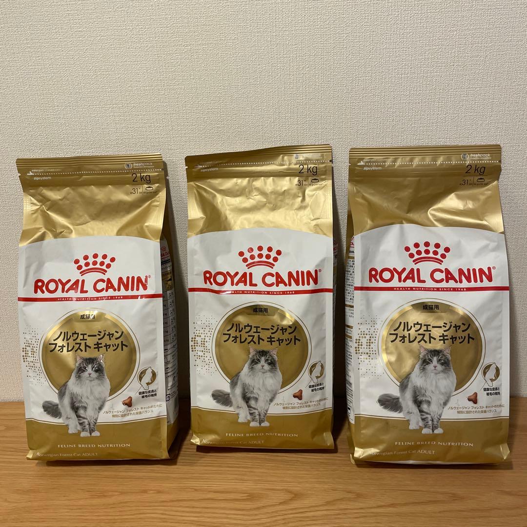  CANIN ノルウェージャンフォレストキャット 2kg×3袋　未開封