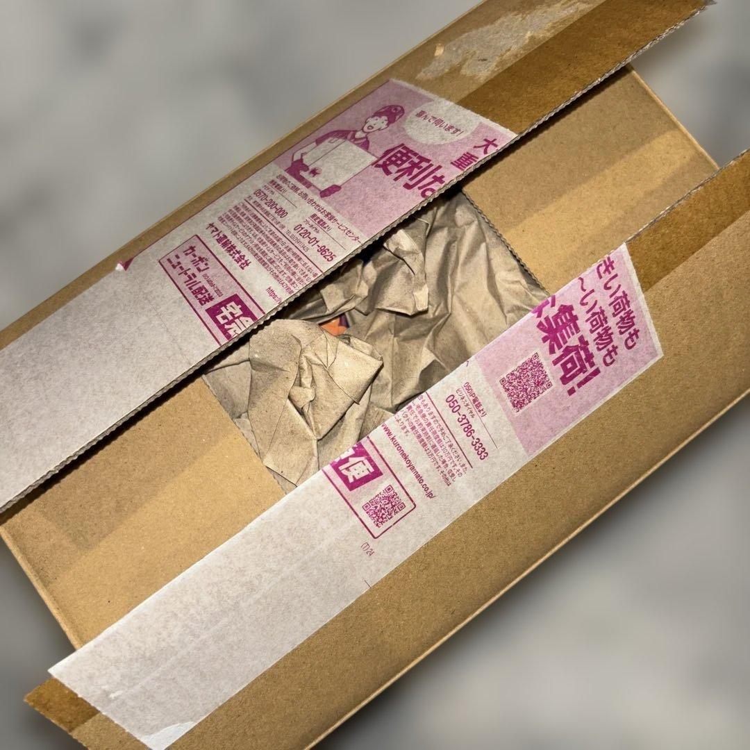 スペシャルBOX ポケモンセンター ヒロシマ◼️ポケモンカードゲーム