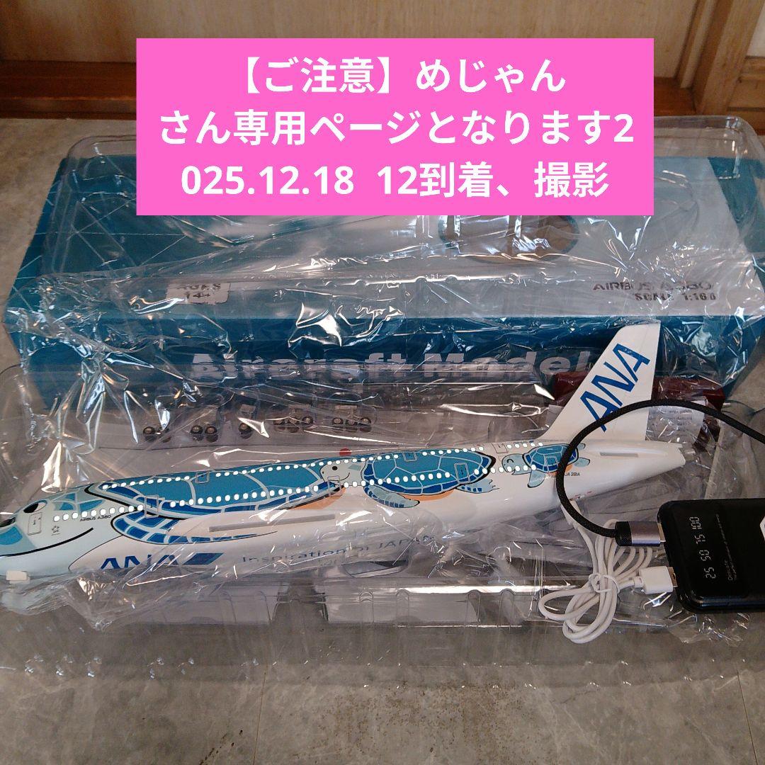 ●【ご注意！】 めじゃんさん 専用の機体です 12/18着