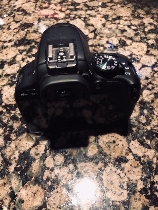 一眼レフ　canon DS126441