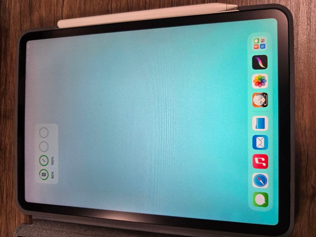 iPad Pro 11㌅ 1TB M1 Wi-Fiモデル 第2世代 +α