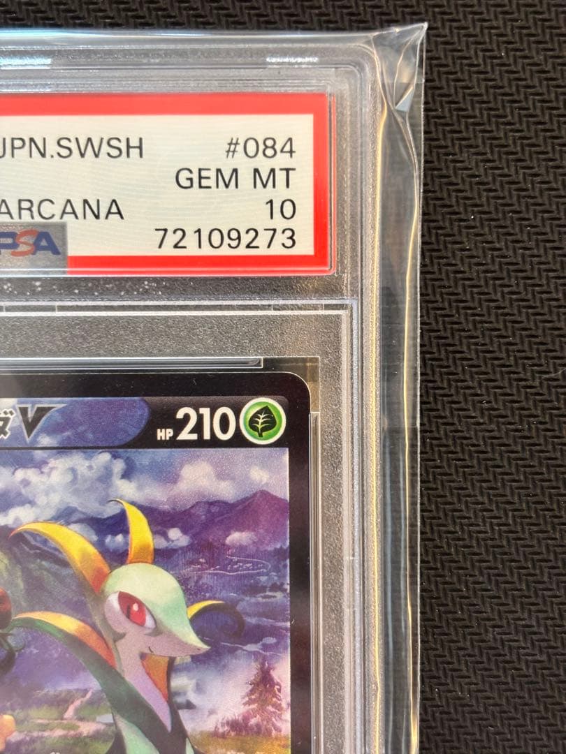 【PSA10最高評価】ジャローダV CSR 【ポケカ】