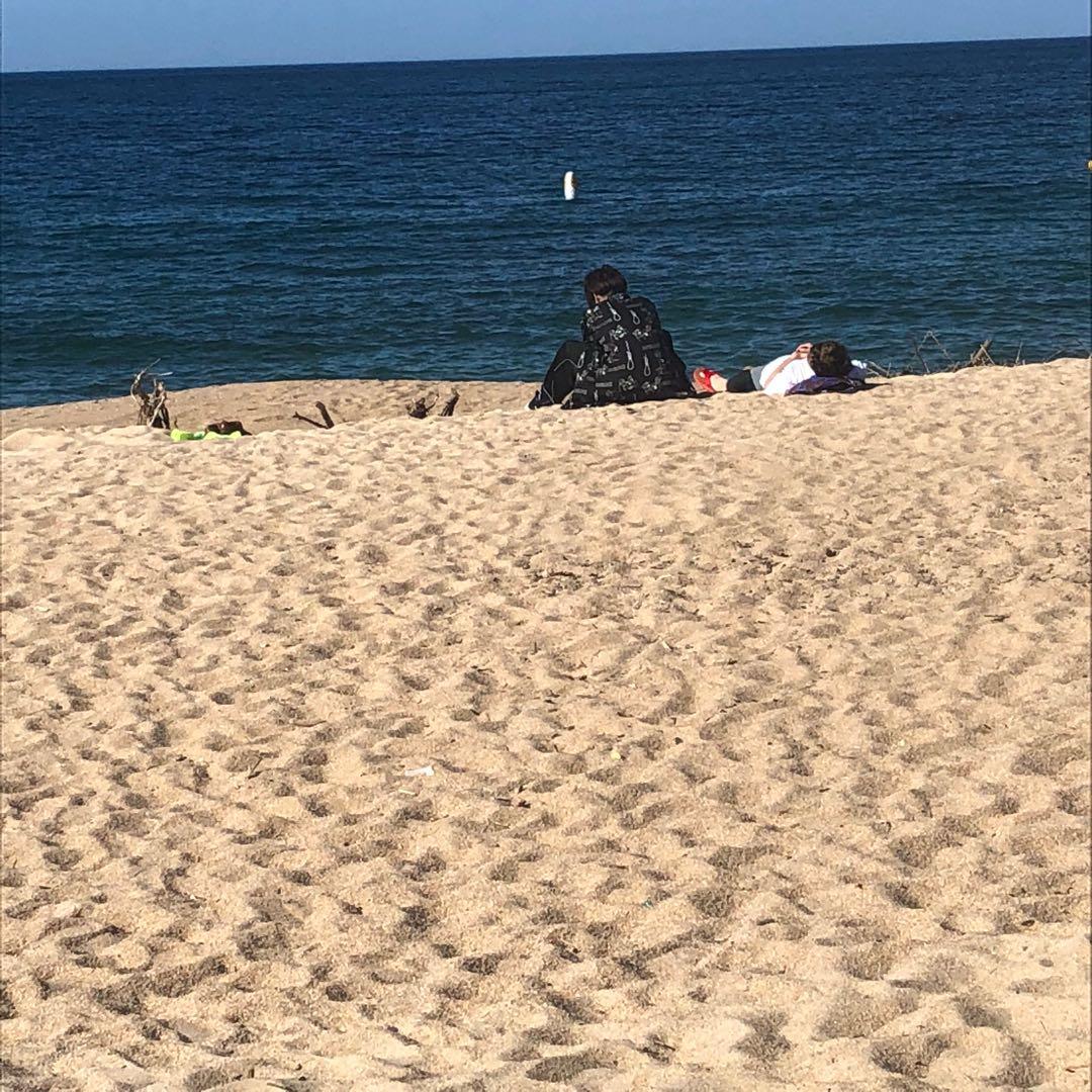 サノバチーズ セットアップ