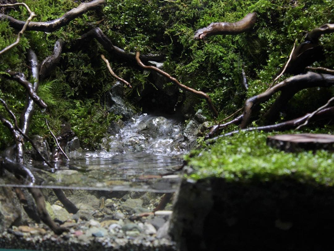 凛1.11　アクアテラリウム