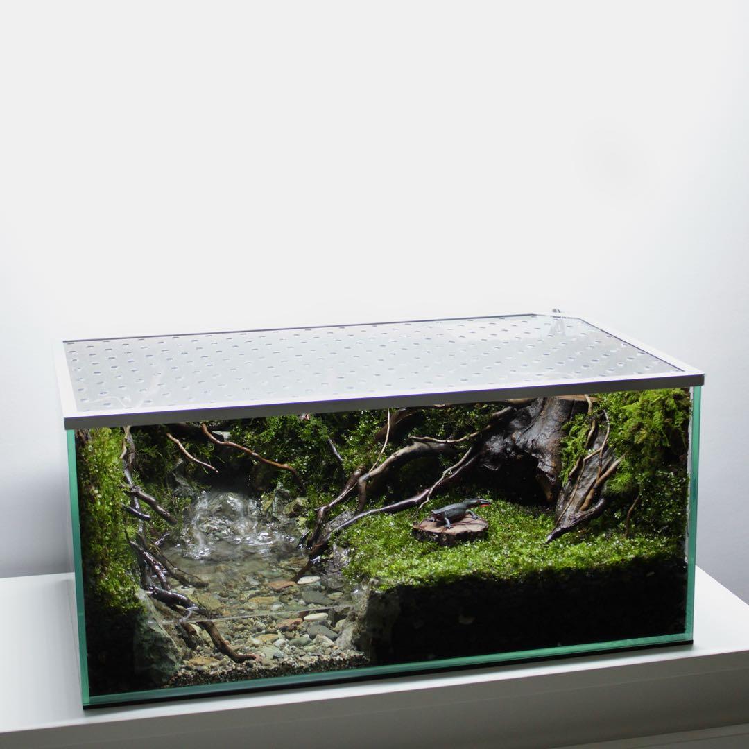 凛1.11　アクアテラリウム