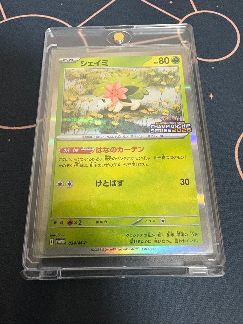 ロケット団のミュウツーex cl プロモ シェイミプロモ付き