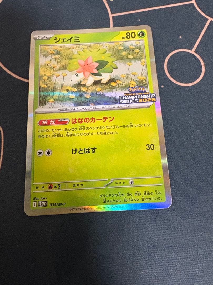 ロケット団のミュウツーex cl プロモ シェイミプロモ付き