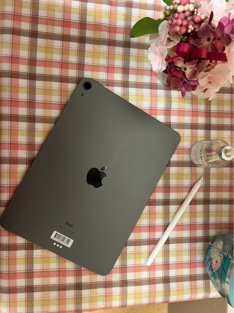 その他 iPad Air10.9inch4thgeneration256GB Gray
