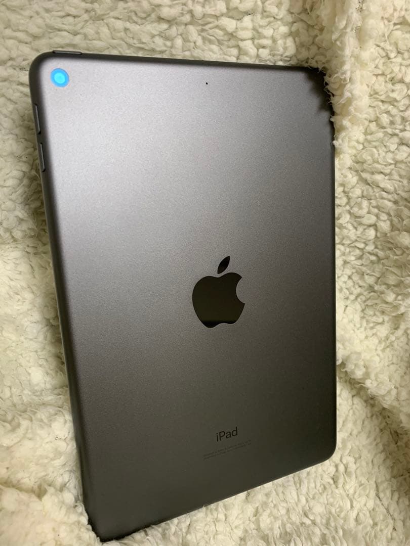 iPad mini 64GB 第5世代 100%充電OK Wi-Fi モデル