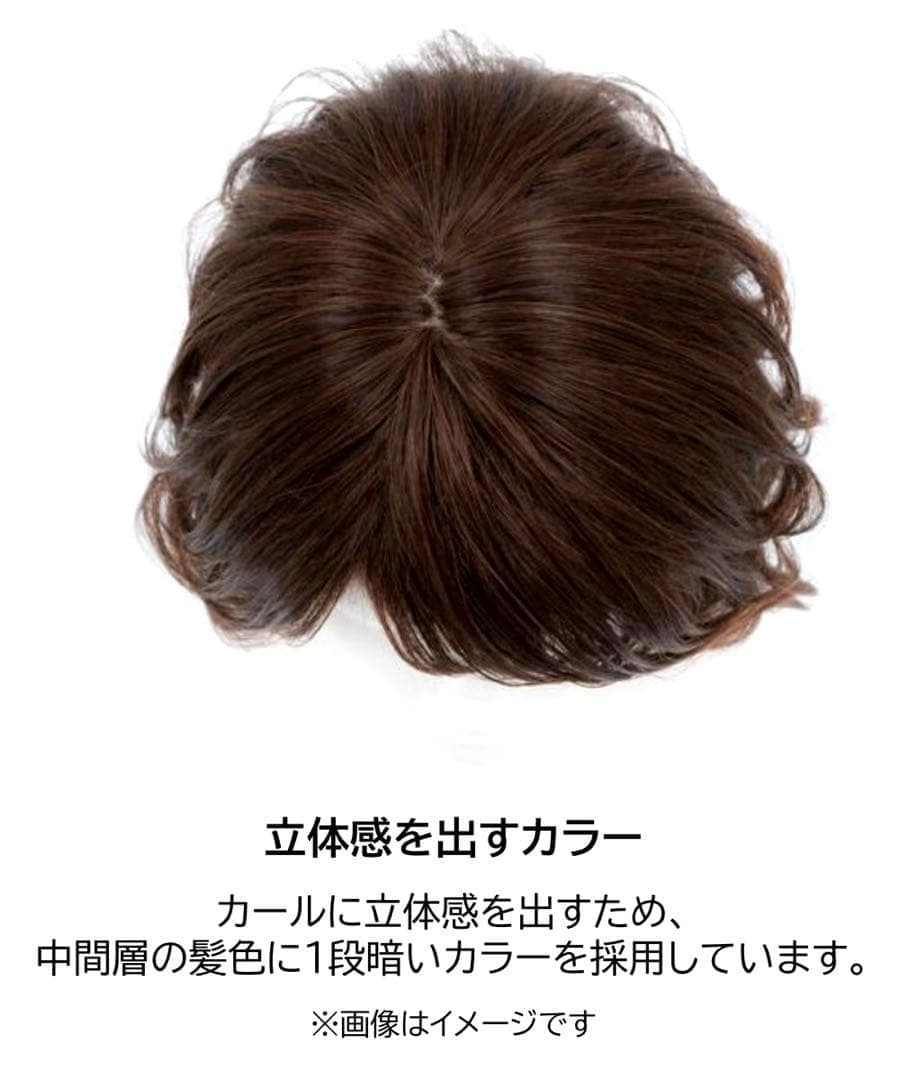 坂巻哲也フルウィッグ　人毛ミックス