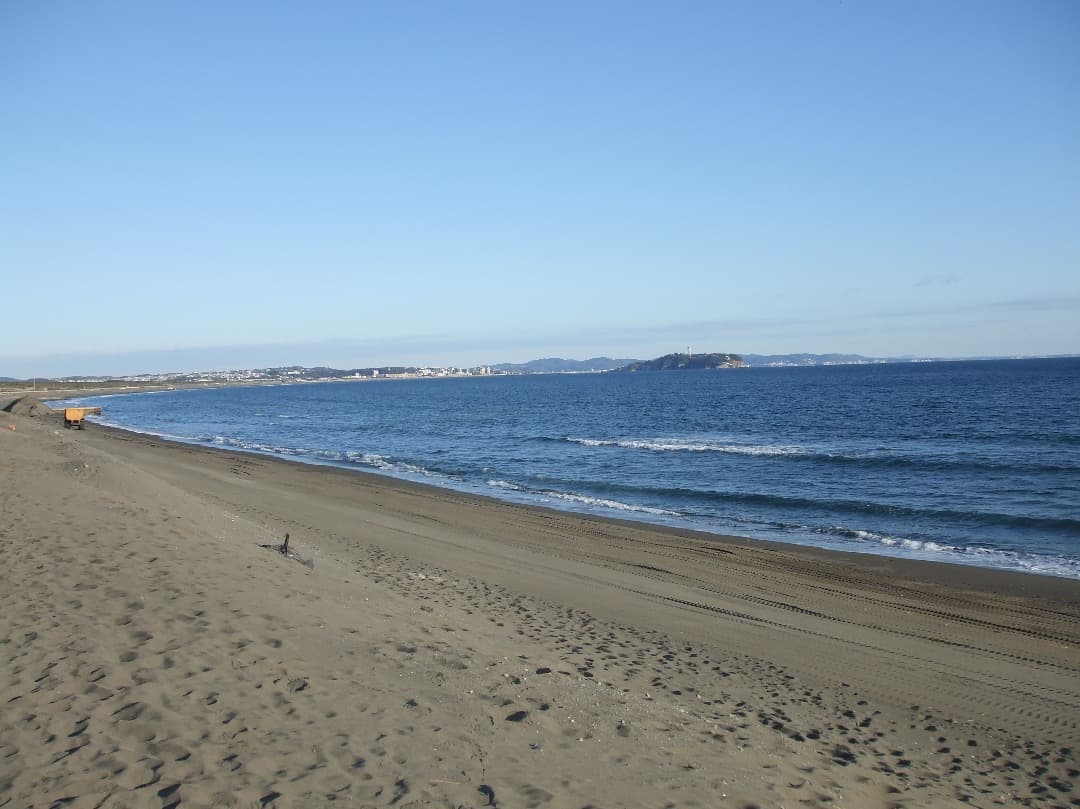 実写美⭕️【動作確認済み】FUJIFILM FinePix A900