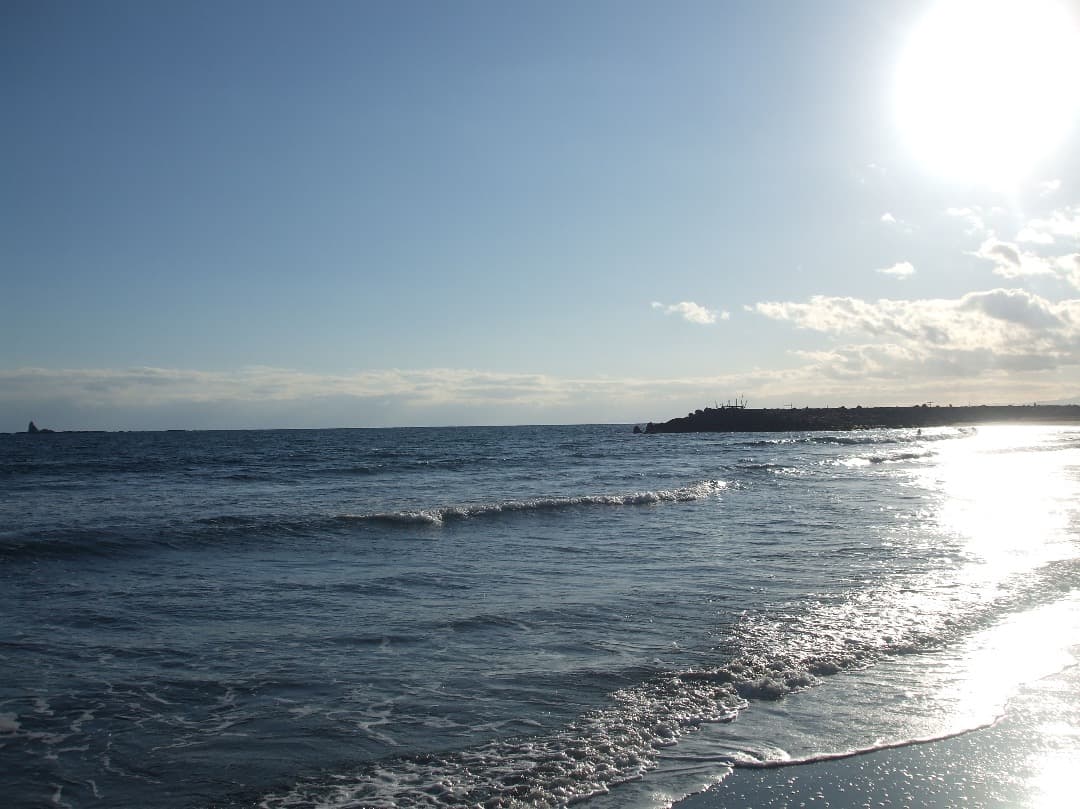 実写美⭕️【動作確認済み】FUJIFILM FinePix A900