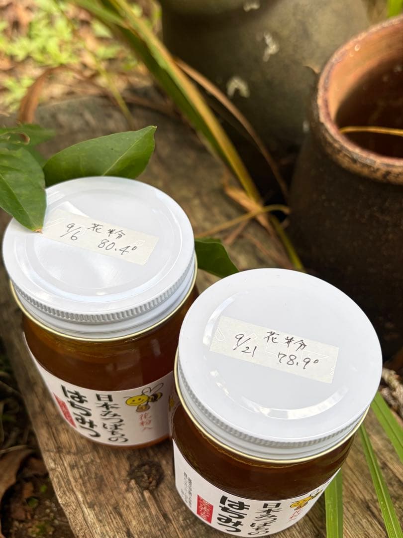はちみつ　日本蜜蜂のハチミツ　奥山の蜂蜜　花粉入り
