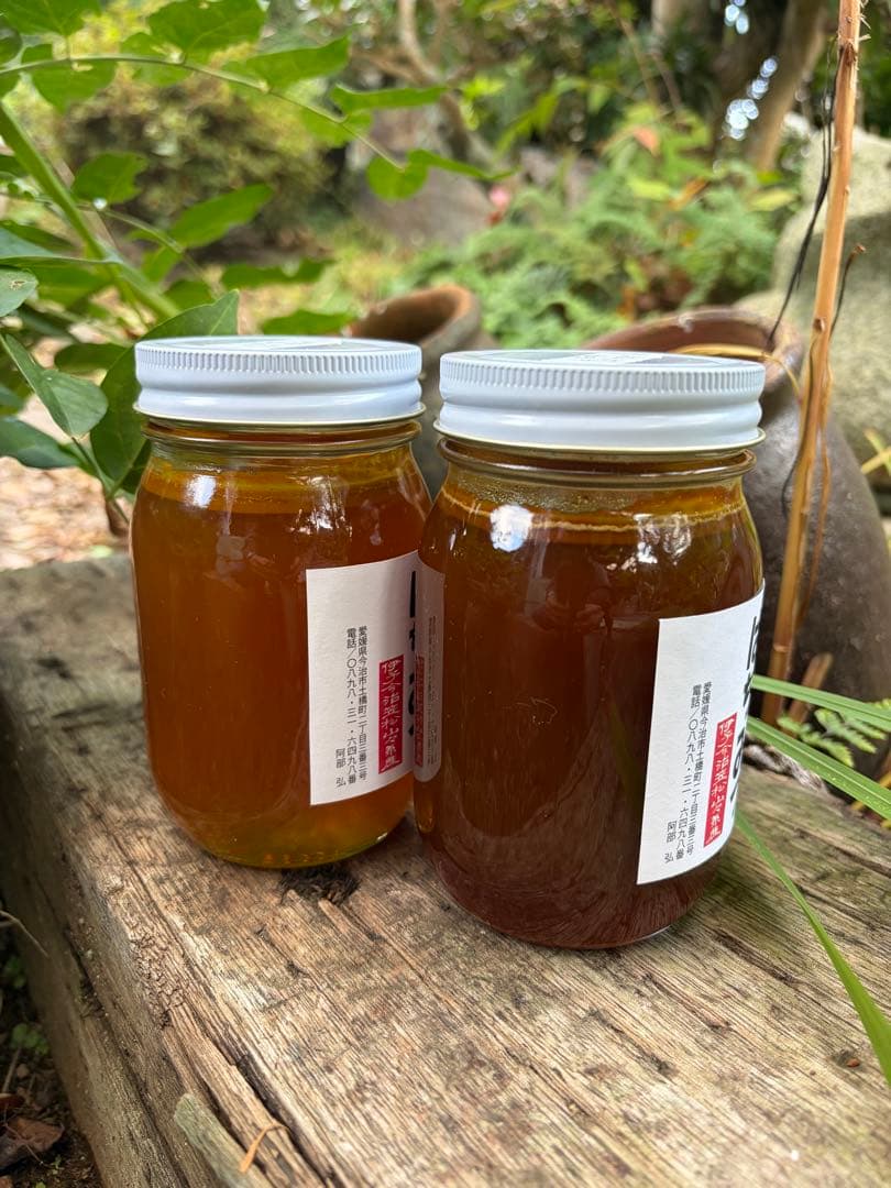 はちみつ　日本蜜蜂のハチミツ　奥山の蜂蜜　花粉入り