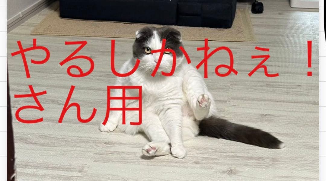 やるしかねぇ！さん用