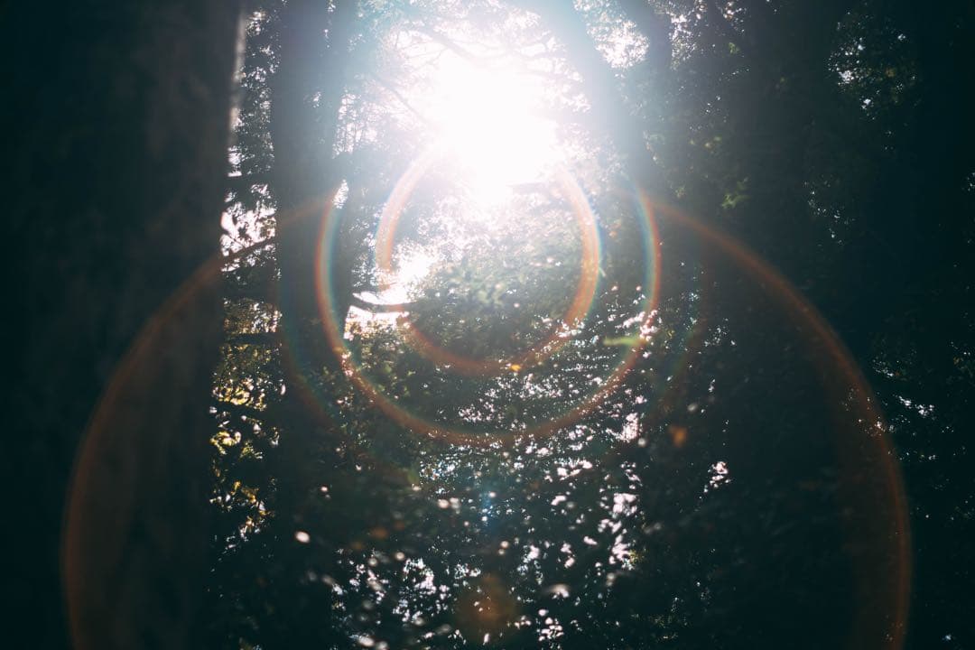 美フレア Super Multi Coated TAKUMAR 55mmf1.8