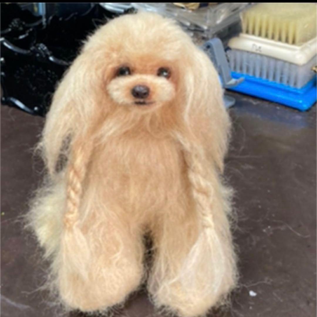 R*o様 トイプードル アートドール