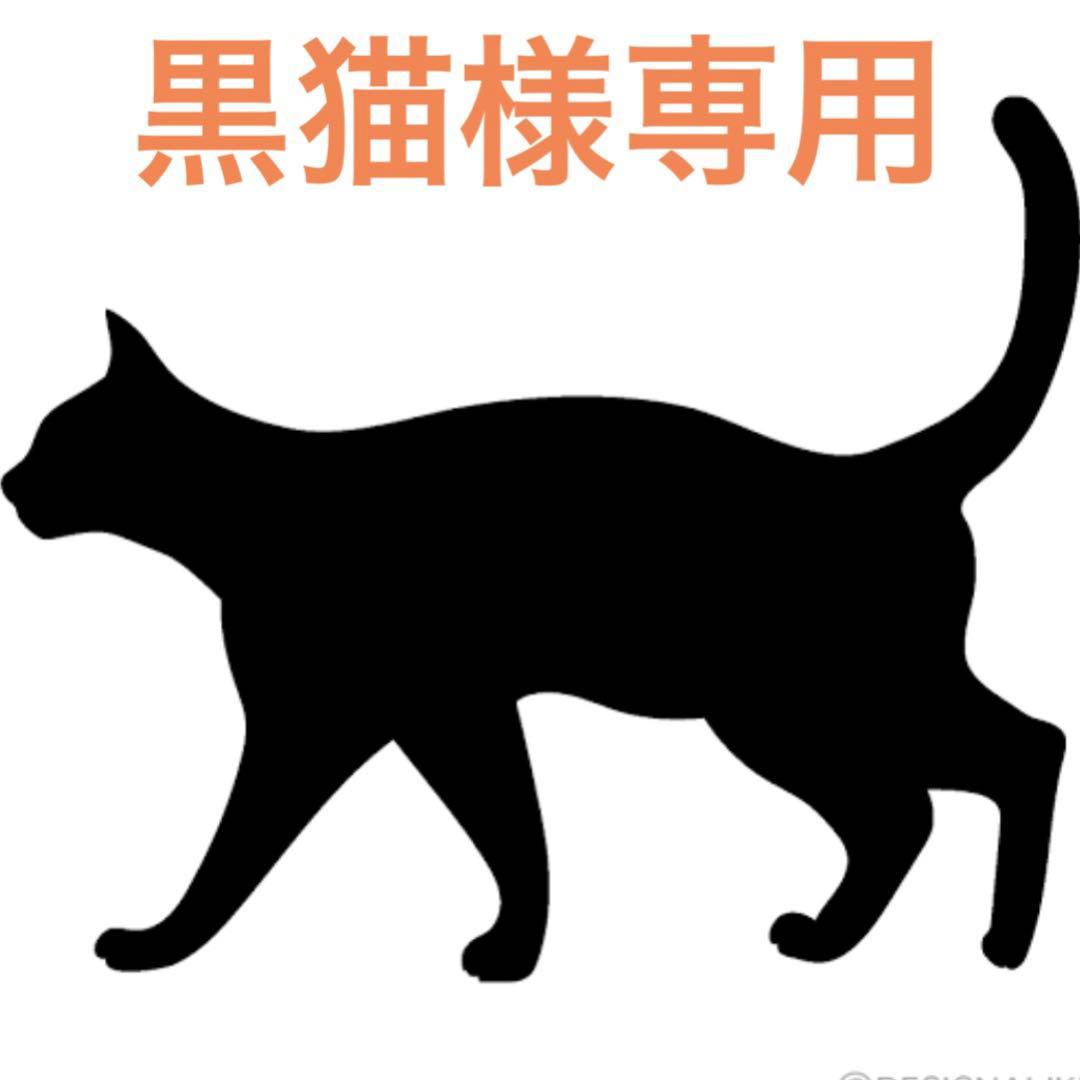 黒猫