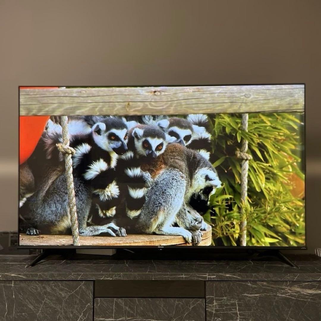 2022年製 Hisense 65インチ 4Kテレビ