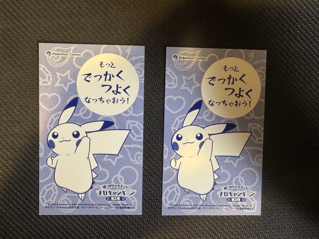 メガリザードンX ポンチョを着たピカチュウ 名刺カード 2枚セット