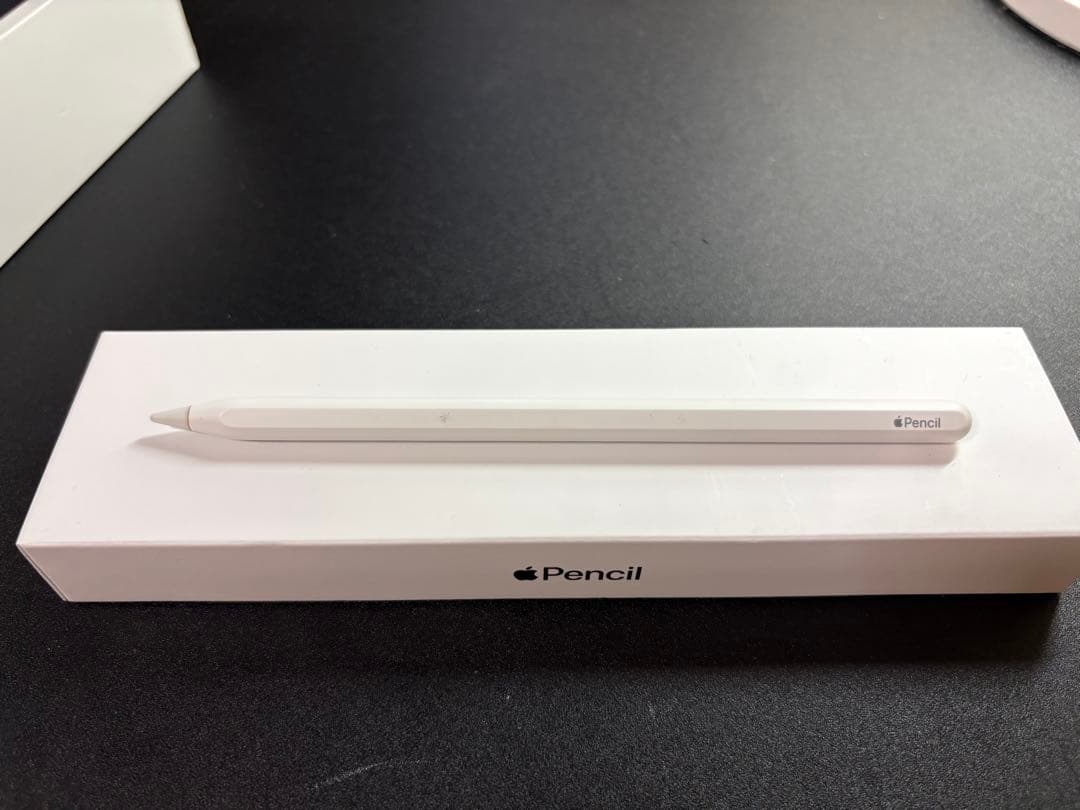 iPad Pro(11インチ) 256GB SIMフリー＋純正アクセサリー 美品