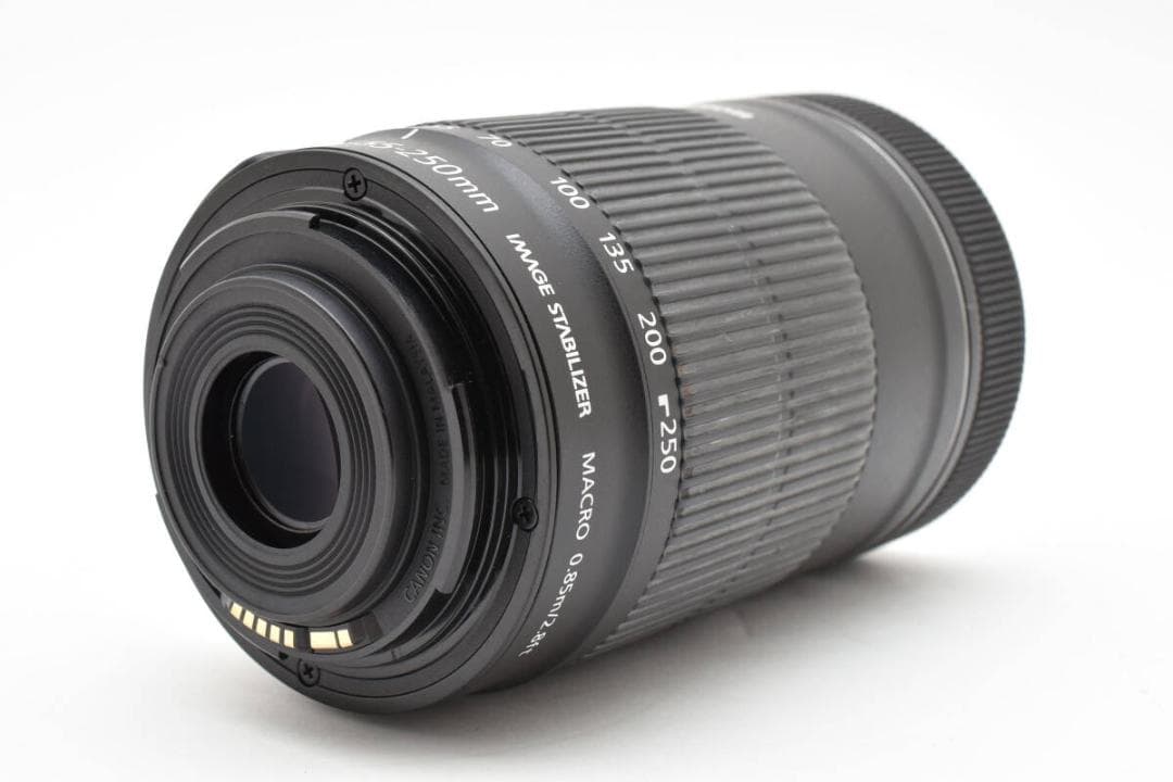 ★極美品★ EF-S 55-250mm F4-5.6 IS STM #473H