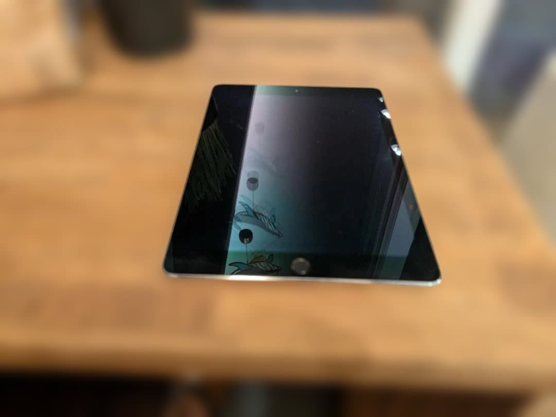 Apple iPad Air 2 10.2インチ スペースグレー 本体