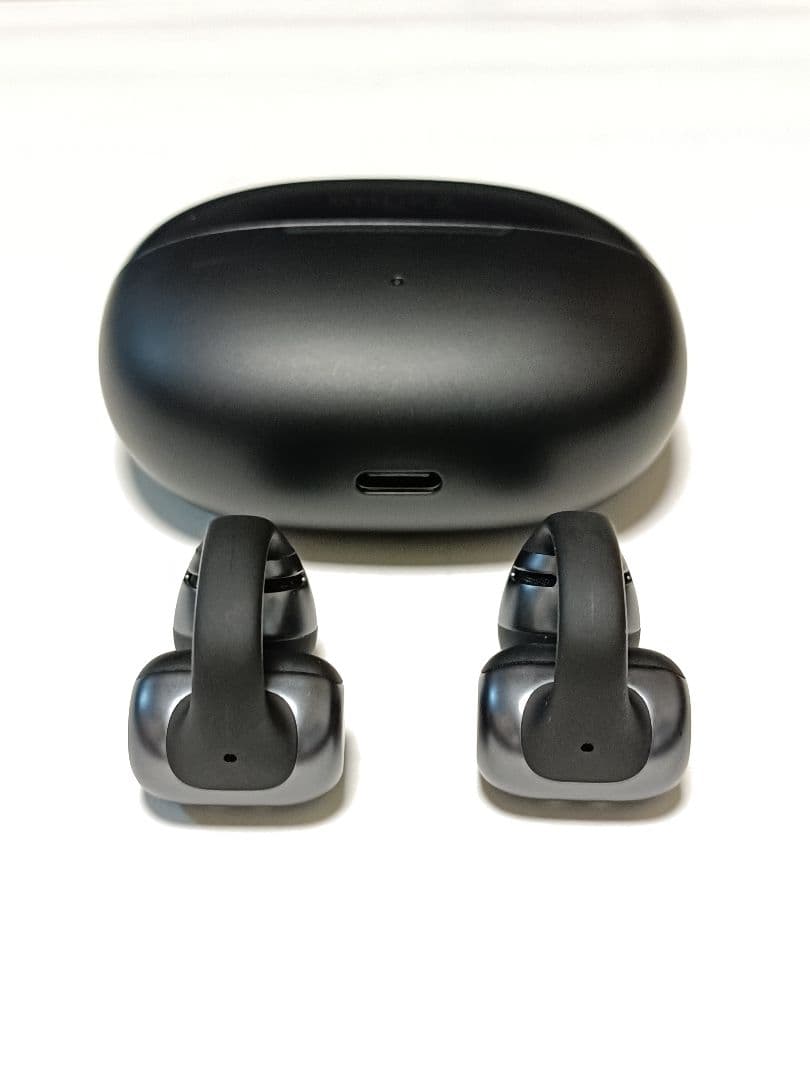 Shokz (ショックス) OpenDots ONE オープンイヤホン